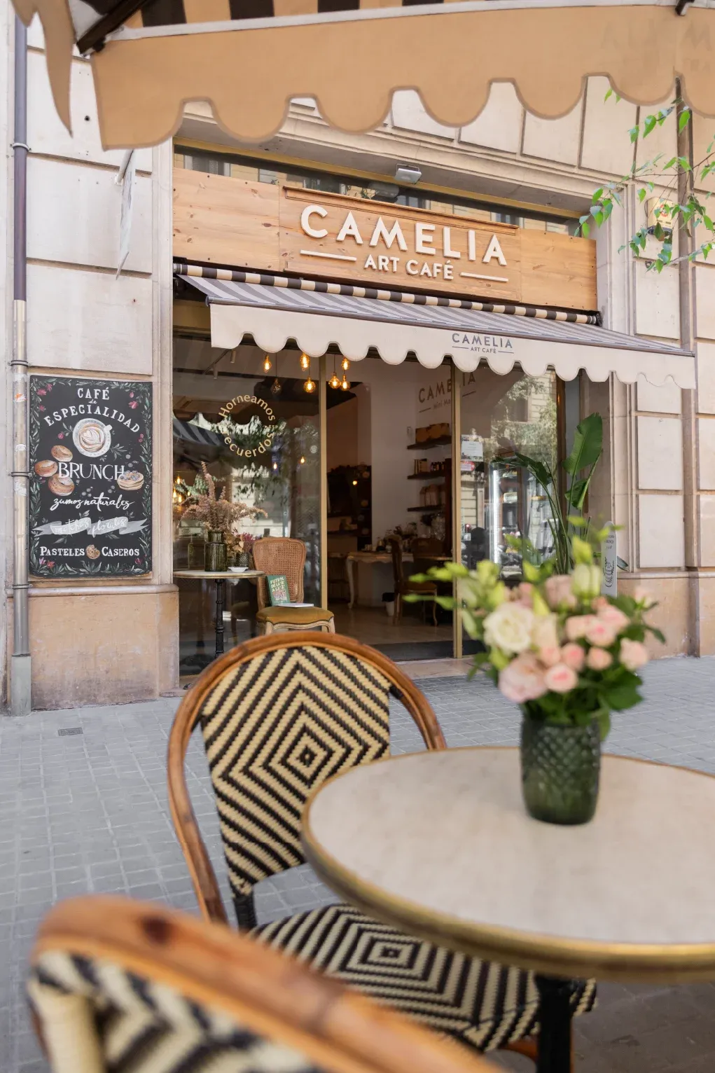 Piezas gráficas del sistema Camelia (6)